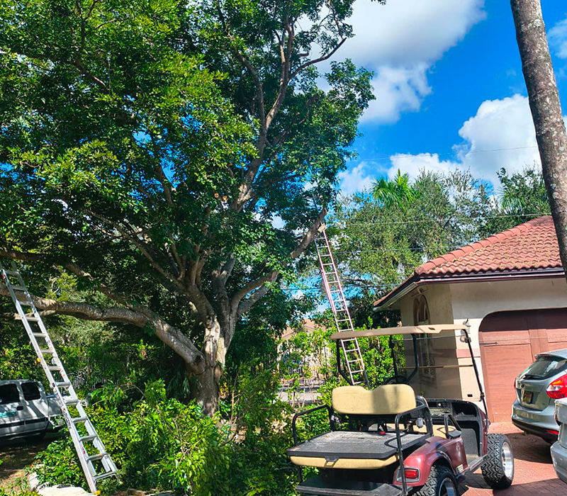 Towing services in Hesperia