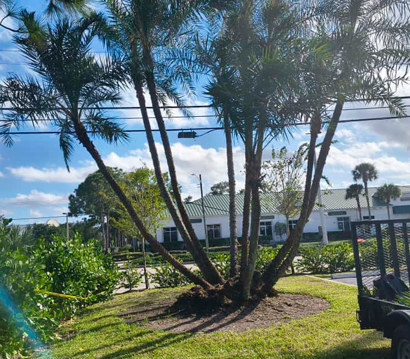 Towing services in Hesperia